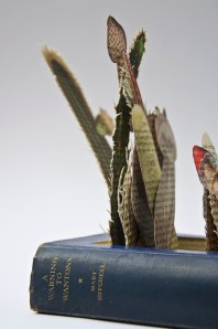 perversion of paper detail (3)